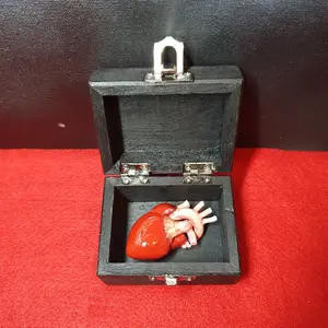 My Heart In A Box - Small Human Heart - Miniature Bloody Heart - Fun Scary Unique Present - Valentines Day or Anyday Gift