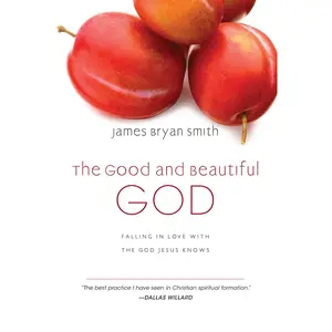 USED Book - The Good and Beautiful God: Falling in Love with the God Jesus Knows by Smith, James Bryan (Hardcover) - english