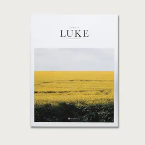 Alabaster The Gospel of Luke - An Invitation to God's Kingdom for All christian books