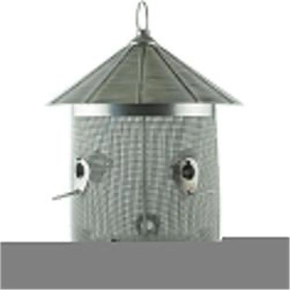 Audubon & Woodlink 28718 10 lbs Silo Combo Seed Feeder with Perches