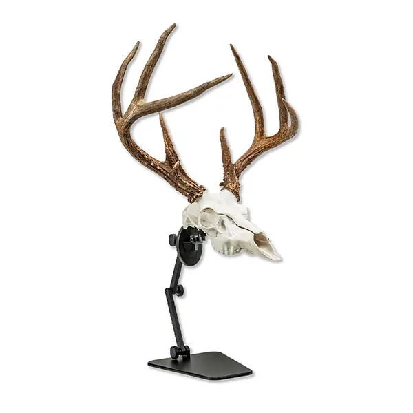 UROADX TX1 European Skull Tabletop Display Mounting System