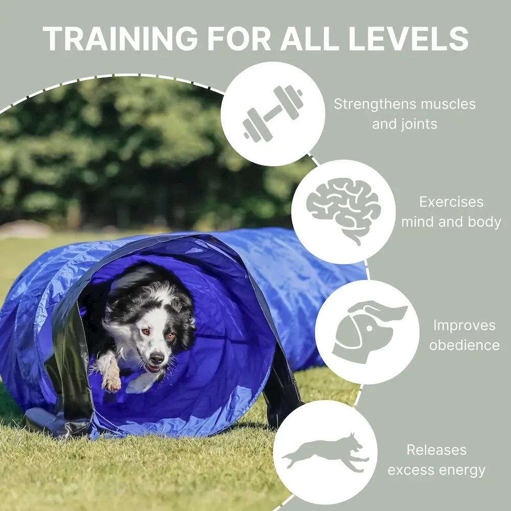 16.5-ft Polyester Blend Collapsible Portable Dog Agility Tunnel, Easy Storage, Easy to Clean, Instructional Booklet Included, for Outdoors Training & Healthy Challenging Activities