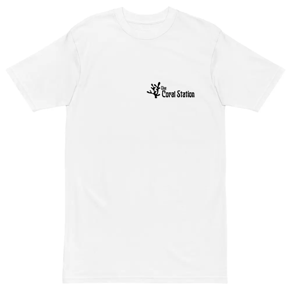 Men’s premium heavyweight tee