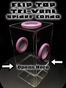 4x4x8.5 Flip-Top Tri-Vent Spider Condo Jumping Spider Enclosure (holds fruit flies) B-stock