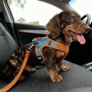 Cat/Dog Harness&Leash Set, 1 Set Soft Cat Vest With Reflective Strip, Comfortable Outdoor Vest for Cats, Walking Harness ,Pet Supplies