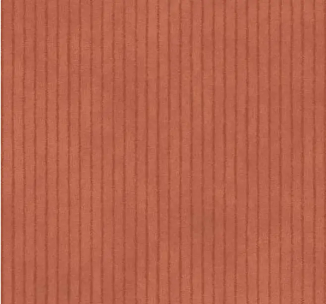 Orange Flannel Striped by Maywood Designs