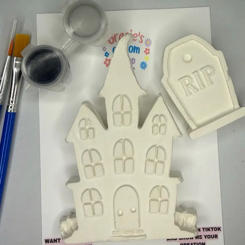 Plaster DIY Paint Kit - HOUSE