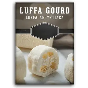 Luffa or Loofah Seed for Planting - 1 Packet with Instructions to Plant and Grow Ornamental Gourds in Your Home Vegetable Garden - Non-GMO Heirloom Variety