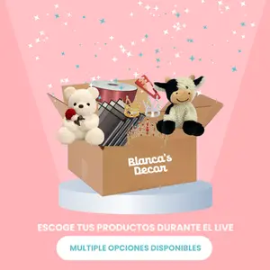 Blanca's Decor Floral Supply box | Korean Paper, plushies, crown, and more