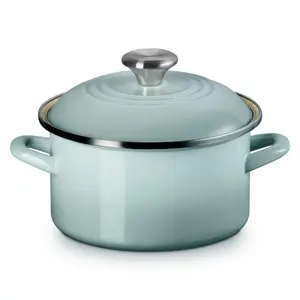 Le Creuset 3.8 qt. Petite Stockpot