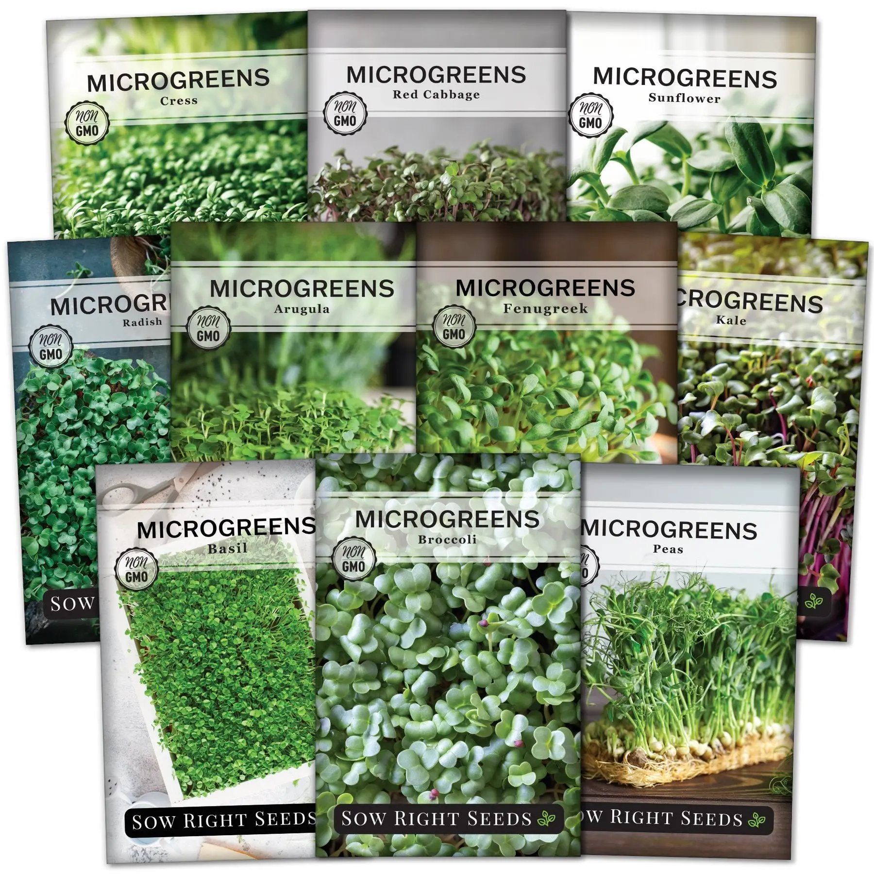 10-Packet Large Microgreens Veggie Seeds Collection - Fast-Growth Home Planting Windowsill Vegetable Herb Seeds for DIY Gardening, Diverse Flavors Including Basil, Black Oil Sunflower for Foodies & Fresh Home Meal Greens