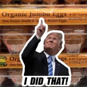 100Pcs I Did That Trump Sticker - Vinyl Sticker, Water Resistant, 1.5" x 1.5", Anti-Trump, Meme Sticker, Fdt