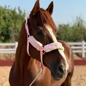 Glitter Horse Halter, Wear Resistant Horse Headcollar with Detachable Faux Fur Band, Equestrian Supplies for Large, Medium, Small Horses