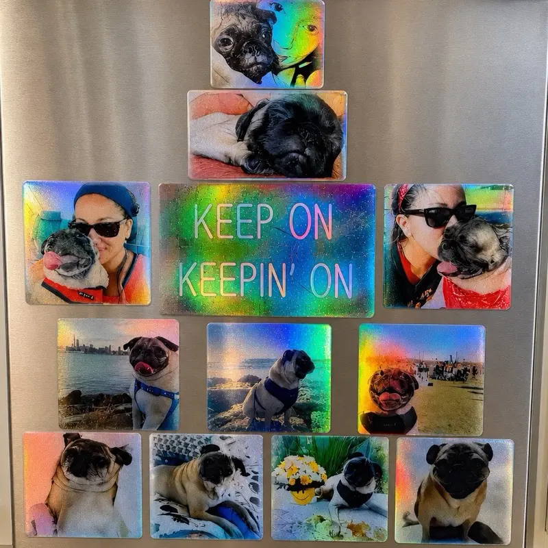 Holographe Custom Pet Memorial Gallery Set | Personalized Magnetic Photo Collage | 13-Piece Refrigerator or Dishwasher Decor | Waterproof Keepsake Gift for Dog & Cat Lovers  Refrigerator Lockers Tool Boxes Offices any metal surface