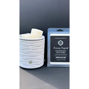 6oz. Beaucoup Fragrant Soy Wax Cubes