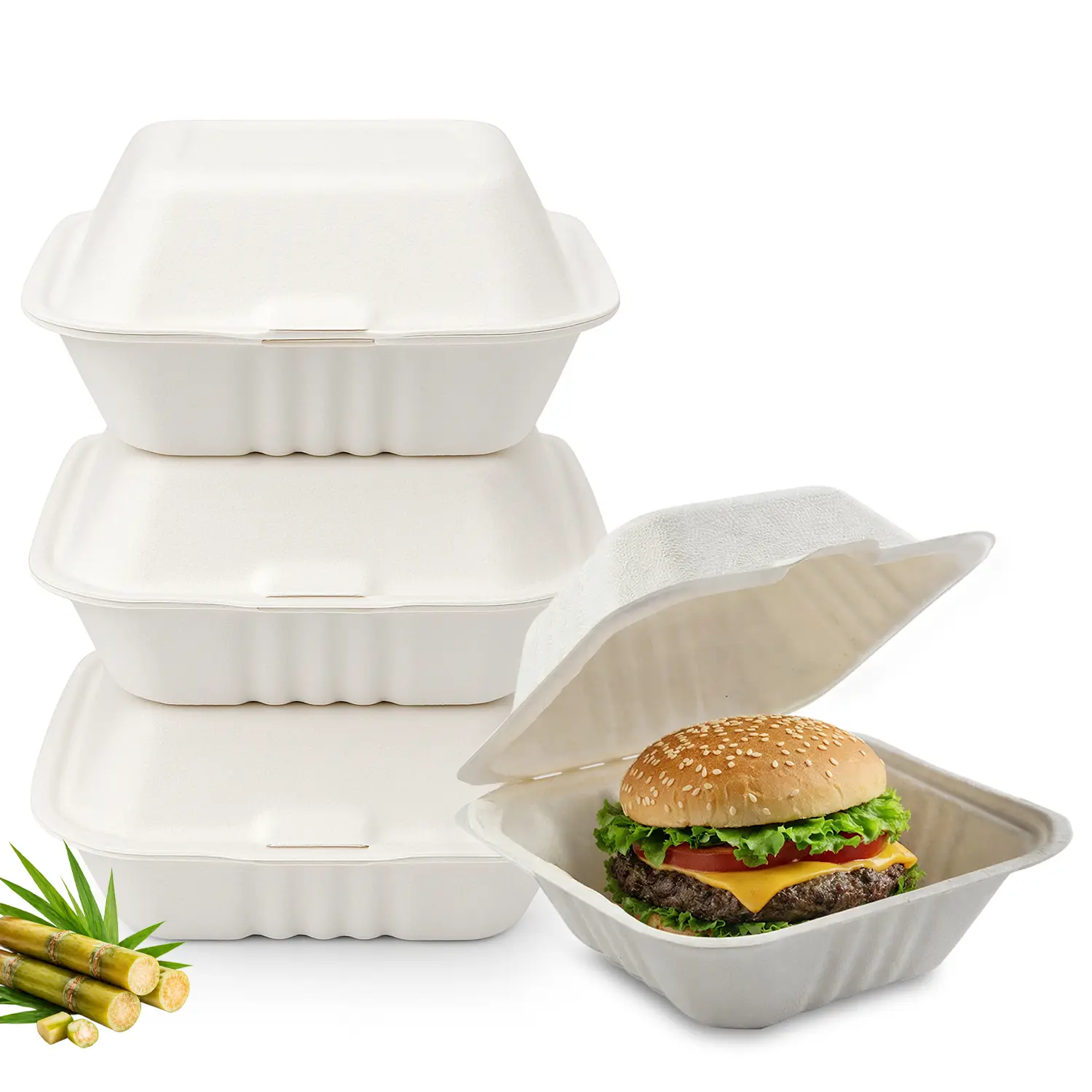 FPN Compostable Plant-Pack Flip Top Clamshell Takeout Boxes - 6x6 in Heavy-Duty Solid Containers for Restaurants, Meal Prep Services, Heat-Resistant Biodegradable Disposable Microwave-Safe To-Go Lunch Boxes