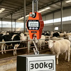 Heavy Duty Digital Crane Scale 660LB/300KG - Industrial Compact LCD Hanging Scale with Stainless Steel Hook for Garage, Farm, Hunting, Fishing & More (Orange)