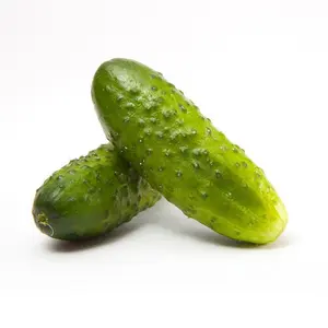 Boston Pickling Cucumber Seeds - Organic Heirloom Non-GMO Annual - Sweet Tender Seedless - 57 Days to Maturity - Cucumis Sativus - Perfect for Pickling by MAI'S FAMILY