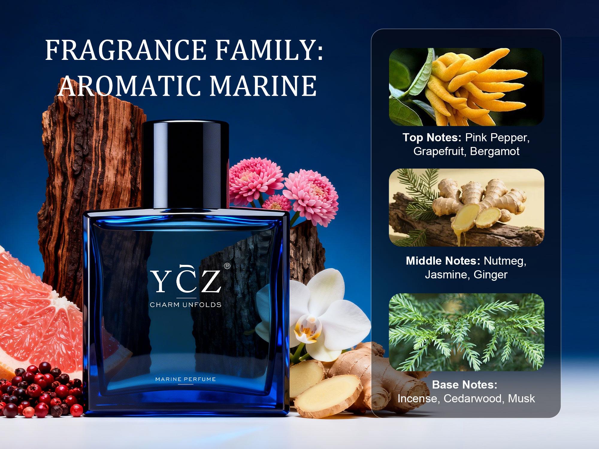 YCZ Midnight Marine Eau de Parfum 1.7oz | Aromatic Marine Fragrance for Men, Magnetic & Sensual, Long-Lasting for Dates and Everyday Wear, Inspired by the Effortless Attraction That Naturally Draws People Closer detail 5