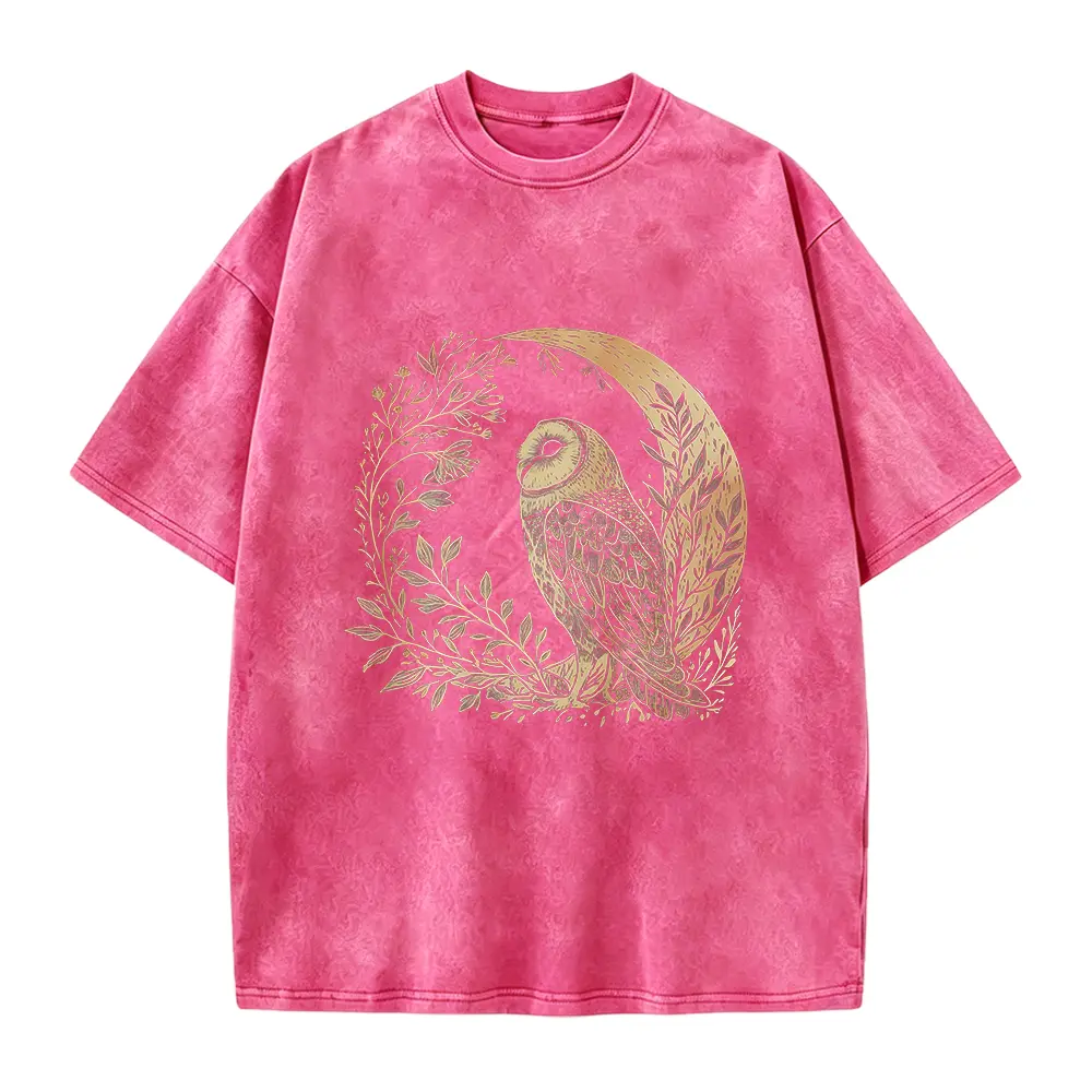 Celestial Cottagecore Barn Owl Moon Shirt, Woodland Nature Graphic Tee, Owl Adult Unisex Tshirt or Long Sleeve Top