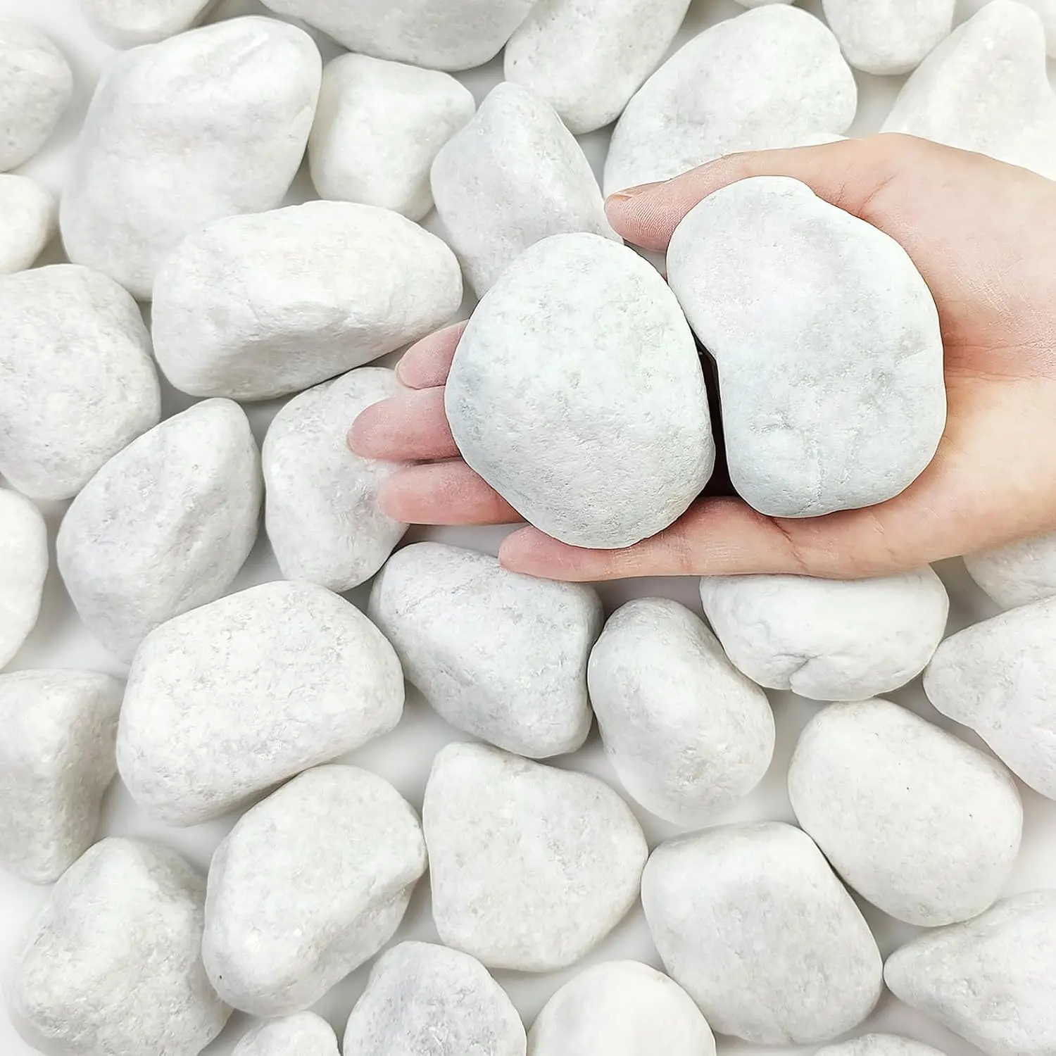 5 lbs White Rocks for , 2-3 Inch Large Pebbles for Indoor , Decorative River Rocks for Succulent, Landscaping, Vases, Aquariums, Crafting and Garden Stones
