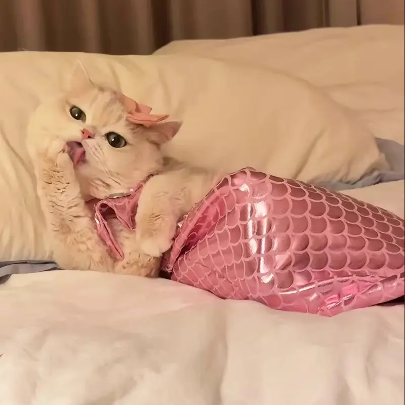 Pet Cat Clothes Dog Clothes Sexy Summer Thin Cute Pet Summer Clothes Cat Pet Swimsuit