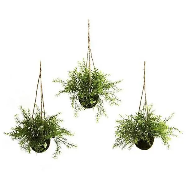Nearly Natural Ruscus, Sedum and Springeri Hanging Basket Set of 3 Nearly Natural Ruscus, Sedum and Springeri Hanging Basket Set of 3