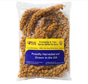 9 oz Spray Millet for Birds – GMO-Free, No Stems (Only Edible Tops) – 100% Natural Sun-Dried Foraging Treat for Cockatiels, Lovebirds, Parakeets, Finches & Canaries