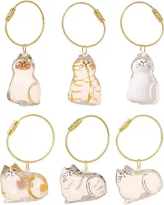 6-Pack FurEver Cat Memorial Keychains - Carry Your Cat's Memory Everywhere, Cute DIY Pet Hair Storage Capsule Pendants