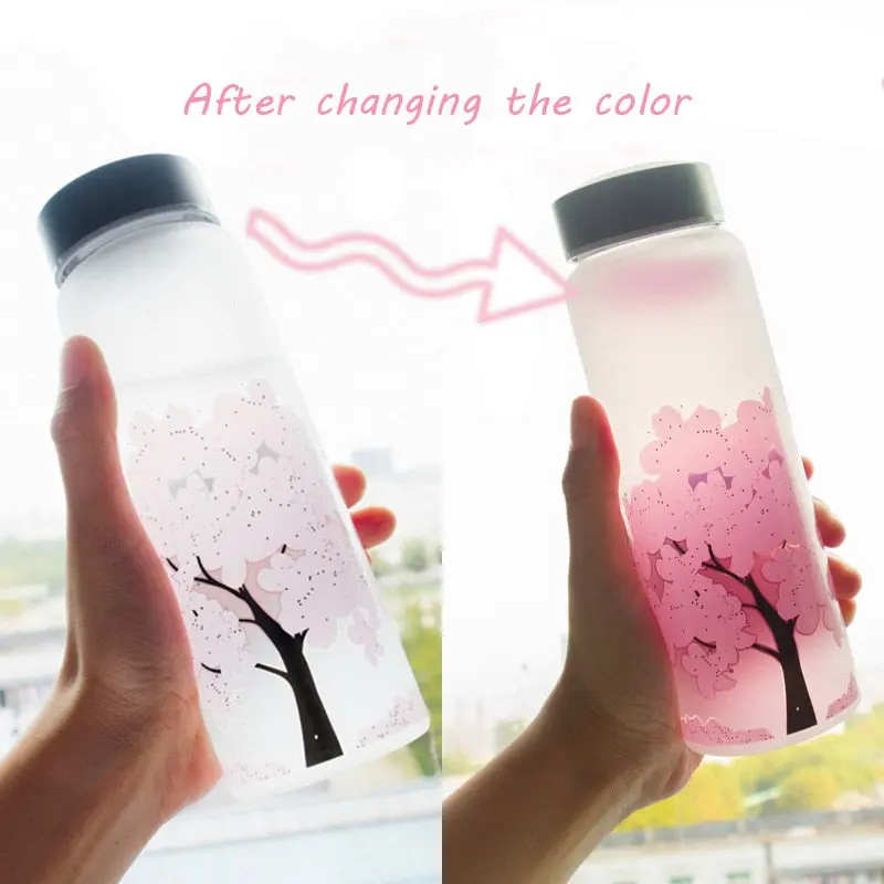 Color Changing Glass Water Bottle