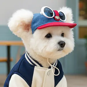 Two-piece fashionable pet sun hat and cool sunglasses set, dog baseball cap and cat head cover