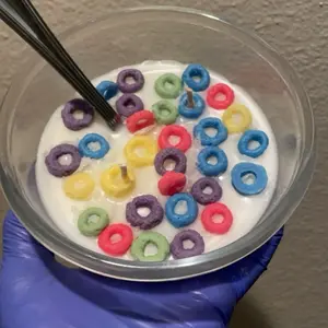 Fruit Loops Cereal Candle