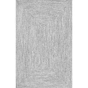 Wynn Braided Indoor/Outdoor Area Rug