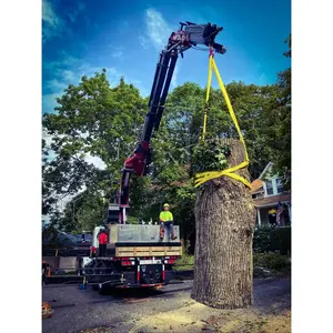 Endless Round Slings