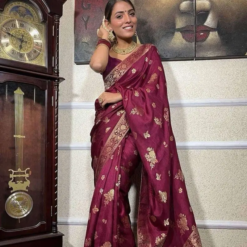 Saree Womenswear Traditional Clothes Dress
