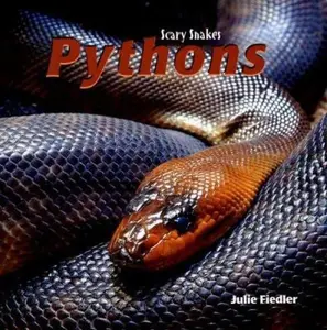 USED-Pythons by Fiedler, Julie (Library Binding)