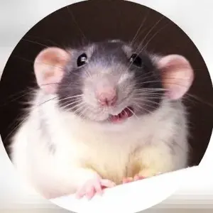 background preload poster image 