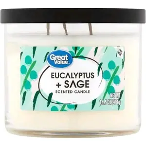 (2 pack) Great Value Eucalyptus & Sage Candle, 14 oz