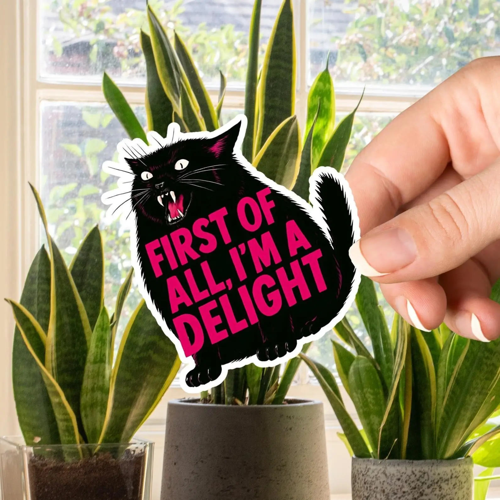 First of All, I’m A Delight Funny Black Cat Sticker, Sarcastic Introvert Gift, Dishwasher Safe, sassy cat sticker, funny cat sticker, luggage stickers