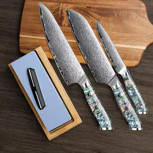 4-Piece Damascus Steel Knife Set (Abalone Shell Handle) – Japanese Chef's Knife Set, made of 67-layer Japanese VG10 steel, includes a chef's knife, a cleaver, and a whetstone, meeting diverse kitchen needs.