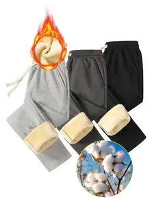 Men's Solid Thermal Lined Drawstring Waist Pants, Casual Comfy Regular Fit Straight Leg Trousers for Fall & Winter, Men's Bottoms for Daily Wear