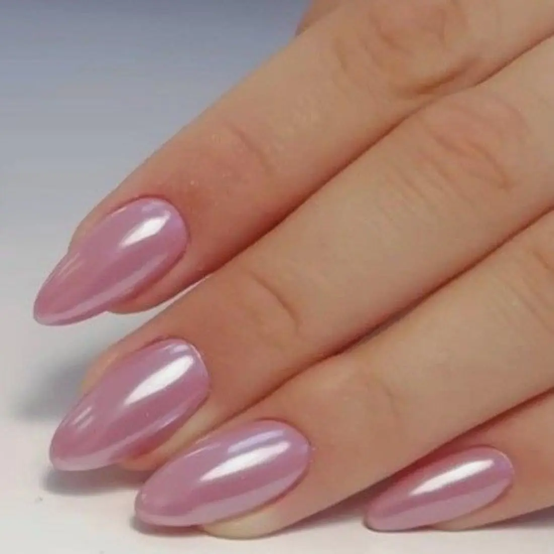 Pearl Orchid