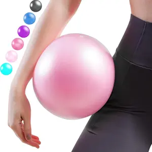 Small Exercise Ball, 9 Inch Mini Pilates Ball, Anti Burst and Slip Resistant Mini Yoga Ball for Stability, Fitness, Physical , Stretching & Core Strength Workout at  Gym & Office