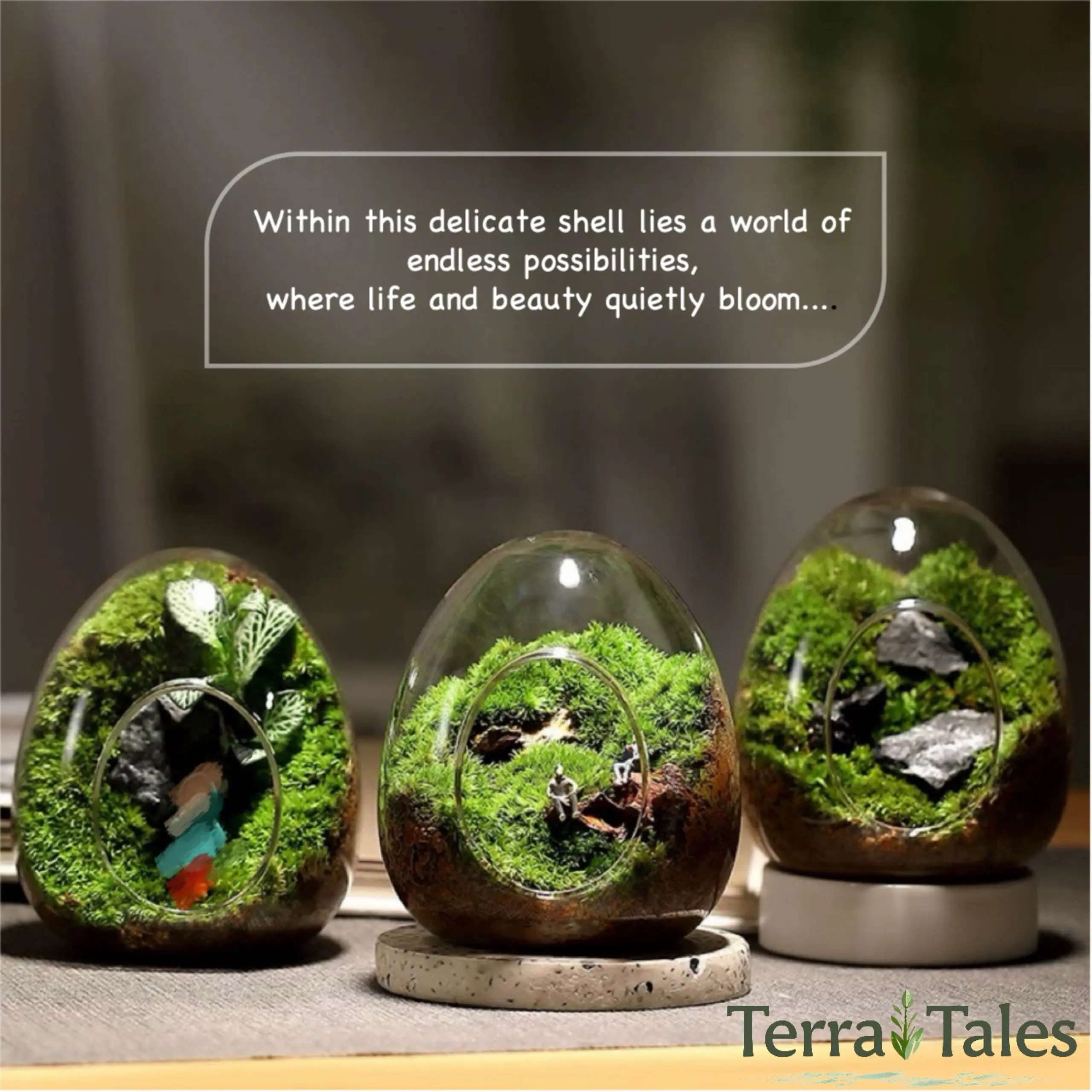 DIY Terrarium Mini Egg-shaped Glass Kit with Pumice, Dried Sphagnum Moss, Soil, Moss, Tools, and Decorative Figurines for Adults & Kids