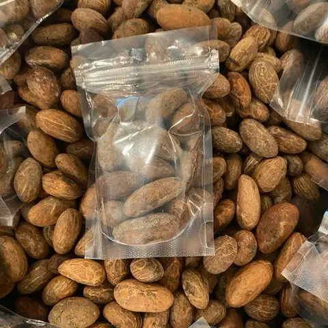 Bitter kola /  kola seeds / 15 pieces around 4 oz