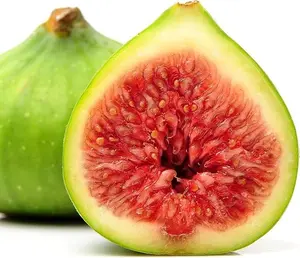 Kadota Fig Tree Live Plant - Ficus carica - Starter Plant in pot 3-8 inches