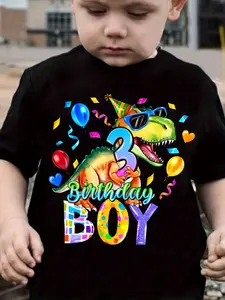 3rd Birthday Dinosaur T-Shirt - 100% Cotton Short Sleeve Shirt with Number 3, Dino Party Hat & Balloon Print - Cute 3 Year Boy Outfit for Party & Casual Wear (Machine Washable), Birthday Boy Outfit, Boy Shirts, Sister Of Birthday Boy Shirt