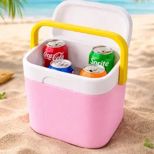 Mini cooler
