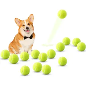Mini Tennis Balls, 15 Pack 2 inch  Tennis Balls, Easy Catching Pet Playing Ball for 2 inch  Ball Launcher