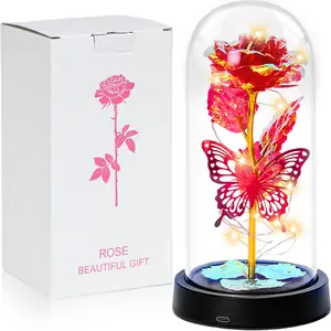 Mother's day Rose gifts for Her,Women's history month Flowers gifts for Mom Women Girlfriend,Birthday gifts for Women,Valentines gifts for wife,Colorful Light Up Rose in A Glass Dome,Anniversary Christmas roses gift for wife daughter